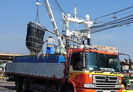 工場から15分!新鮮な魚の仕入れ!
